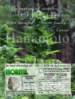 Ad4NORML1&copy;