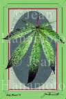 LeafMosiac&copy;