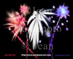 USA-MJ-fireworks&copy;